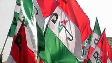 Fresh crisis hits PDP as opposition expels state chairman, woman leader, ex-minister, others