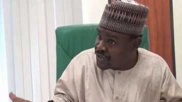 Dan kashenin Buhari ya zargi kungiyoyi masu zaman kansu da tallafa wa Boko Haram