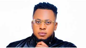 Investor Seed Launches Free NFT and Crypto Learning Hub for Beginners