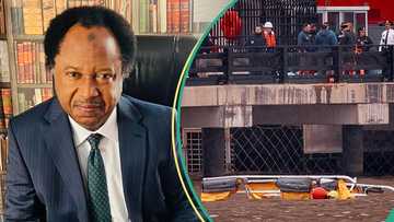 "After Wigwe": Shehu Sani reacts as helicopter crash kills Siemens CEO, family members in US