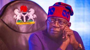 "My life as a cab driver": President Tinubu reveals why a Naval officer slapped him in US