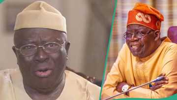 Coastal Highway project: Tinubu support group tackles Afenifere leader Adebanjo