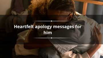 170+ heartfelt apology messages for him: sorry messages for a boyfriend