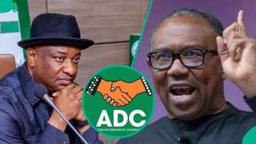 ADC: Keyamo raises alarm over looming betrayal of Obi, Mentions what will finally happen to APC
