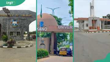 Federal universities offering nursing in Nigeria 2025/2026: top 20 schools