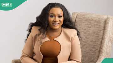 Tinuade Sanda: Harvard Business School speaks on controversy over former Eko Disco boss' studentship