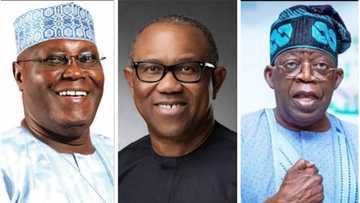 2023 elections: Know Obi, Tinubu and Atiku's plans for fuel subsidy, electricity, others before you vote