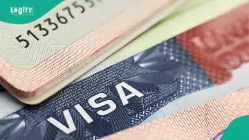 List: 5 countries offering work visas with pathways to permanent residency in 2026