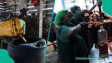Fresh claims emerge as traders allegedly dilute palm oil with harmful substances in Southeast