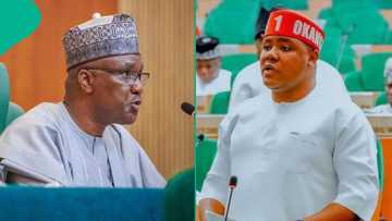 US, UK parliaments send delegates to learn about Nigeria’s House of Reps