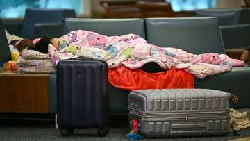 US facing travel chaos as flights cut due to govt shutdown