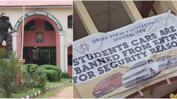 Delta Poly allegedly bans students from driving cars on campus, cites security reasons
