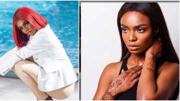 I'm a loyal babe: Ex-BBNaija housemate Peace explains why she did not go into relationship while in the house