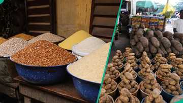 NBS: Nigeria’s headline inflation drops to 15.91% in June 2026, Niger and Kogi top state rankings
