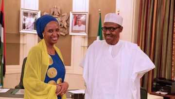 Karfa-karfa: Buhari da Ministansa, Amaechi sun saba doka wajen dakatar da Hadiza Bala Usman