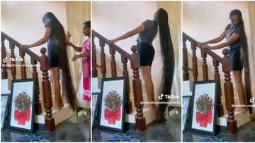 "I'll need 100 years": Young lady shows off her long natural hair that reaches her feet, video shocks women