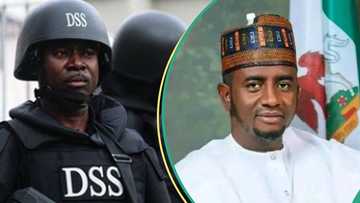 Nigerians make 1 major demand from DSS as probe into top senator's alleged terror ties deepens