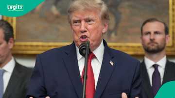 US President Donald Trump eases beef import tariffs, details emerge
