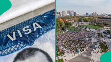 Full list: 10 things to know before applying for US visa