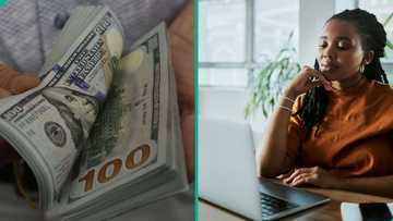 Nigeria ranks 36th as these top 10 African countries offer the highest salaries in 2026