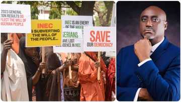 Nigerians give NBA president heavy knocks as he scores INEC high in conduct of presidential poll