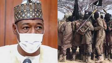 Yanzu haka: Ƴan Boko Haram na can sun kai hari a garinsu Gwamna Zulum a Borno