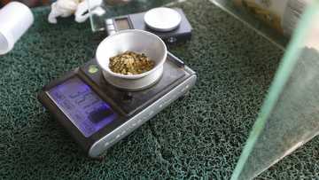 Venezuela's El Dorado, where gold is currency of the poor