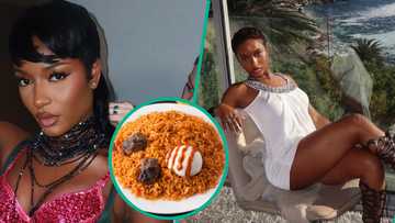 Ayra Starr speaks on African country with best jollof rice: "Ghanaians won’t be happy”