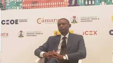Good news as Buhari government seeks Spanish investment into auto component production in Nigeria