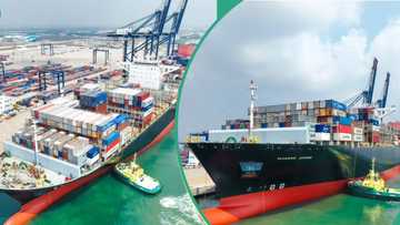Maersk Edirne: Lekki deep seaport receives largest container vessel