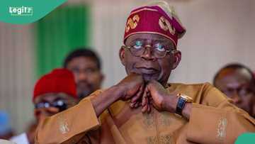 Tinubu’s govt postpones students loan launch indefinitely, gives reason