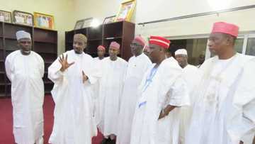 Sheikh Daurawa ya jagoranci malamai sama da 100 zuwa yiwa Kwankwaso mubayi'a a Kano