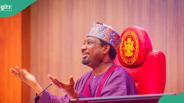 Matasa sun roki Barau ya yi takara da Abba, ana son ya zama gwamnan Kano