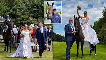 Hotuna: Ango ya zabi doki matsayin babban abokinsa a aurensa, har amarci ya tafi da shi