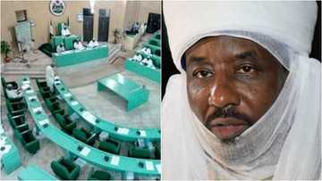 Karamar magana ta zama babba: Batun kacaccala masarautar Kano ta samu tagomashi