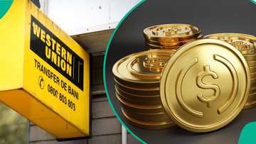 Western Union targets Nigerians with dollar-backed crypto: A game-changer for remittances