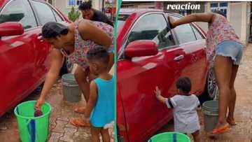 "At least appreciate her": Reactions as man blasts wife in video for washing his car with detergent