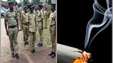 Rikici yayin da jami'in gidan yari ya bindige dan kasuwa akan karan taba sigari a Kano