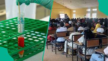 Drama as KWASUED orders students to undergo mandatory NDLEA drug test or lose admission