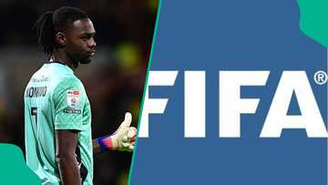 Boost for Super Eagles as FIFA clears Ex-Arsenal goalkeeper to switch nationality to Nigeria