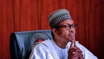 Boko Haram attacks: We’re tired of excuses, Angry Nigerians tell President Buhari