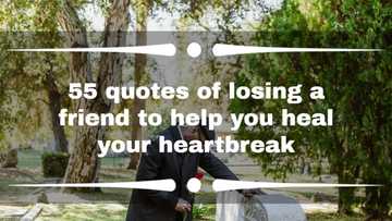 55 quotes of losing a friend to help you heal your heartbreak