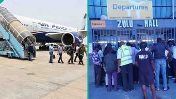 Air Peace shares details as Oshiomole allegedly locks Abuja airport gate after missing his flight