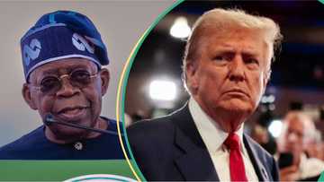 Tsohon ministan IBB ya gargadi Bola Tinubu kan fito na fito da Donald Trump