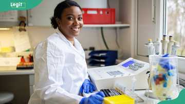 Is biochemistry a good course in Nigeria? Have a look at career opportunities with a biochemistry degree