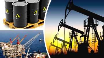 Farashin man fetur ya karye raga-raga, ya yi faduwar da bai taba ba a cikin shekaru 18