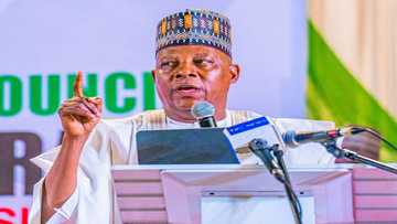 Atiku's ally slams Supreme Court verdict over Shettima's double nomination saga, gives reason