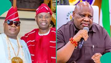 The Adeleke brothers: Davido's dad, Osun gov light up traditional wedding with joyful performance