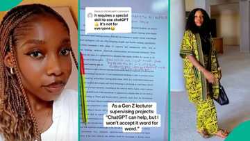Lecturer's remark on project of student who copied ChatGPT verbatim goes viral on TikTok