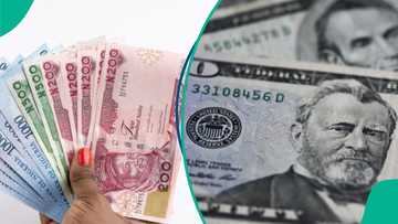 Naira ta yi tashin da ba a taba gani ba a cikin shekaru 2 a kasuwa